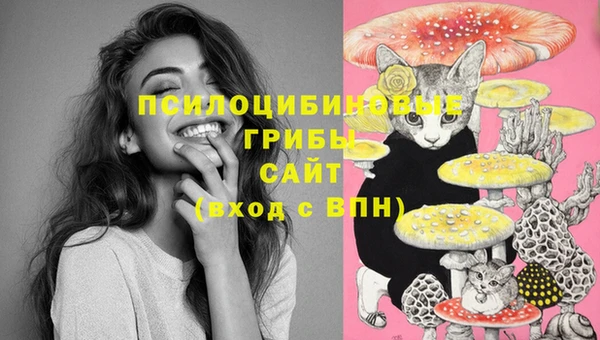 мдпв Абинск