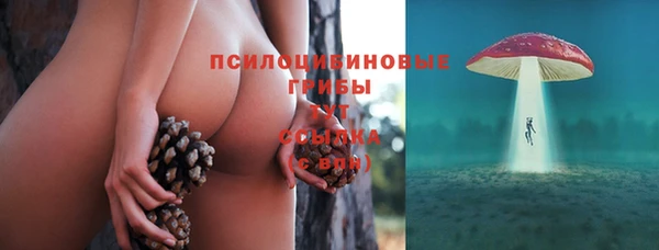 apvp Михайловск