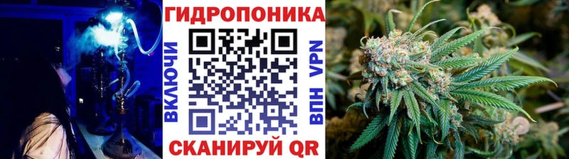 где купить наркоту  Североморск  Канабис MAZAR 